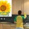 Fresh Up Cleaning Ltd – Carpet Cleaning Services London