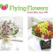 Flying Flowers (flyingflowers.co.uk) – UK Flower Delivery Online