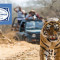 Cox & Kings Travel Ltd | Millbank London SW1P 4EE, England