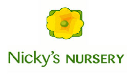 Nickys Nursery Seeds