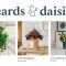 Beards & Daisies Plants UK