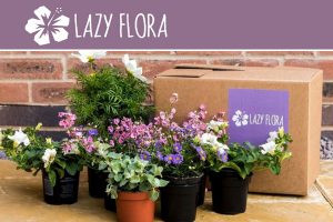 Lazy Flora Plant Subscriptions